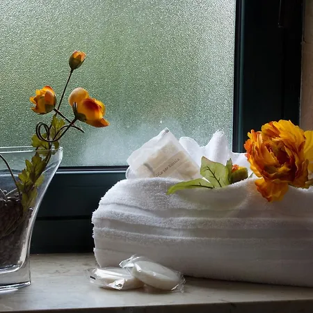 Hotel Delfino Beach - Cdshotels 4*