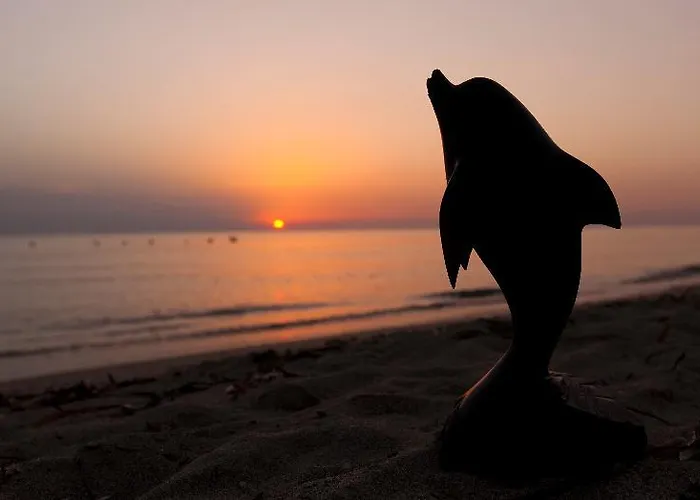 Delfino - Cdshotels Hotel