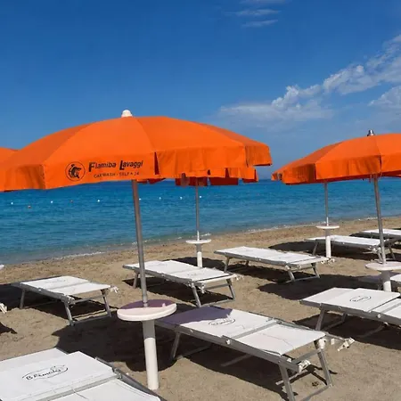 Delfino - Cdshotels