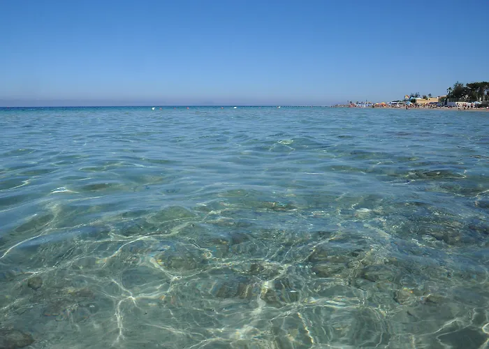 Hotel Delfino - Cdshotels