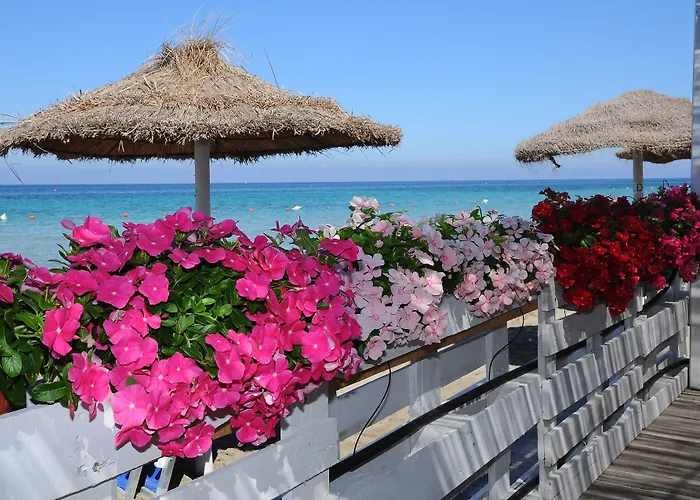 Delfino - Cdshotels Marsala